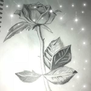 Meet your Posher, Lore